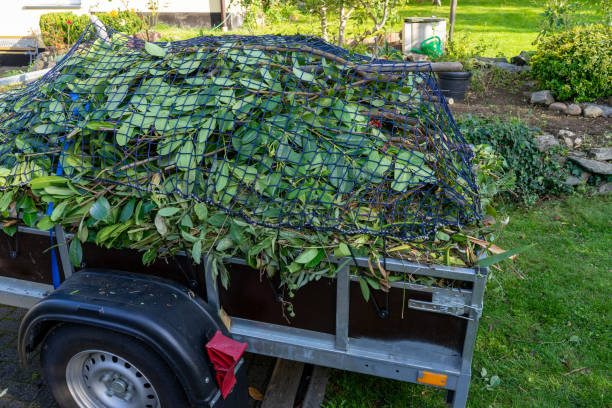Best Dumpster Rental Services  in Marion, SC